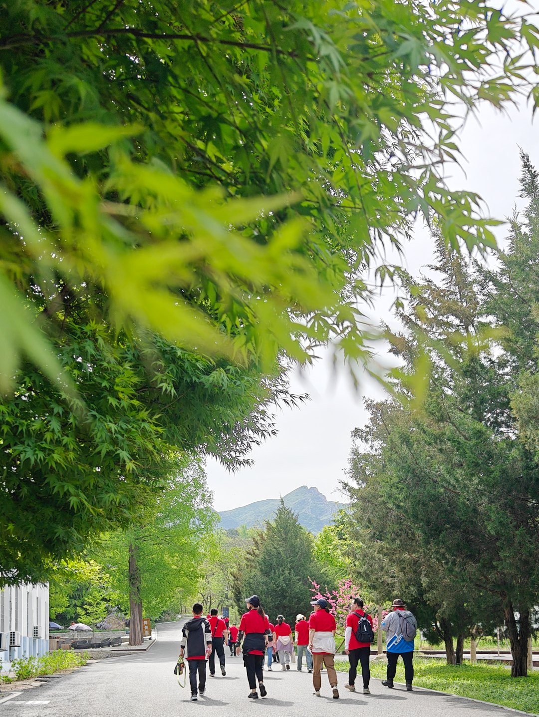 2025新澳门原料网站