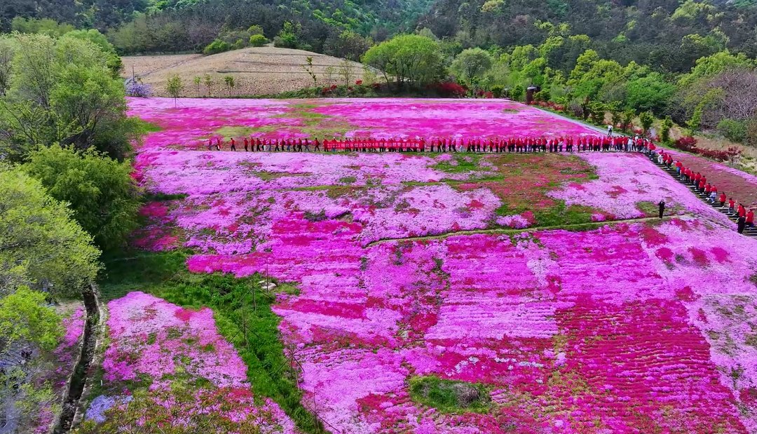 2025新澳门原料网站