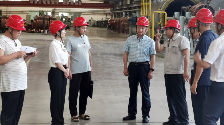 2025新澳门原料网站