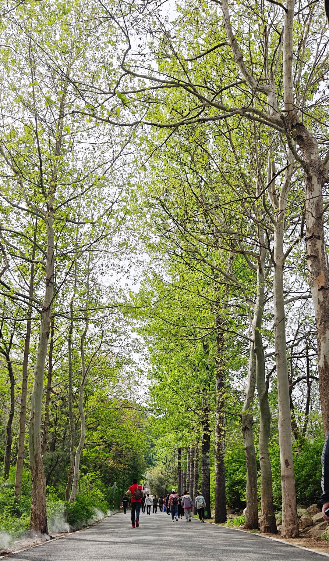 2025新澳门原料网站