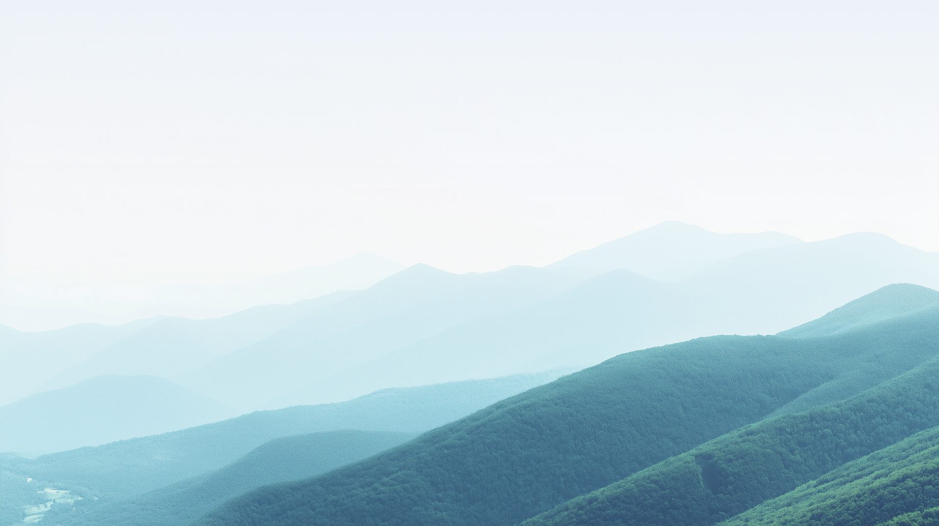 2025新澳门原料网站