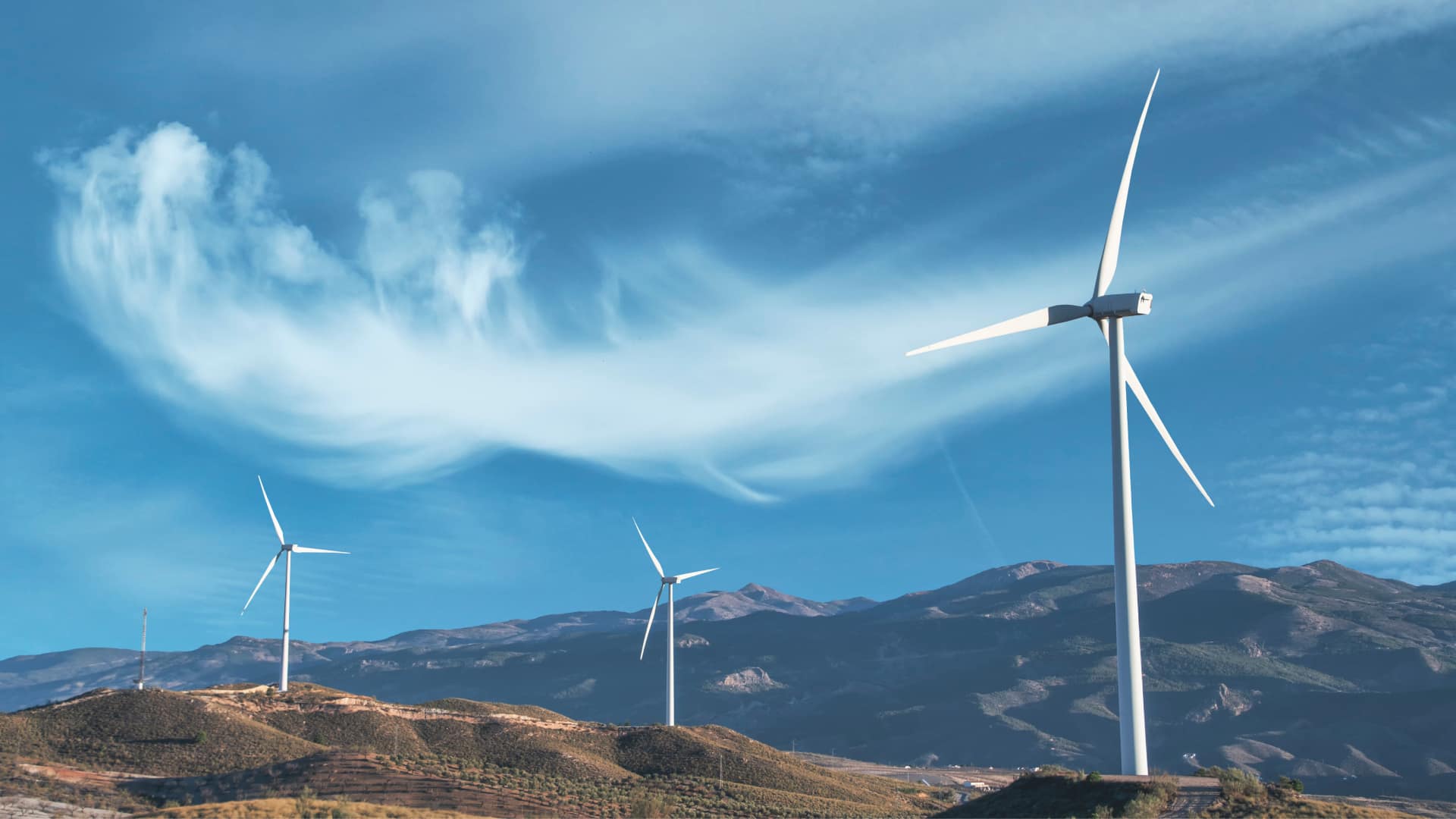 2025新澳门原料网站