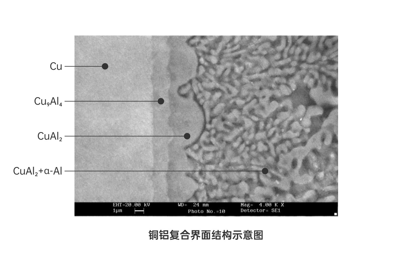 2025新澳门原料网站